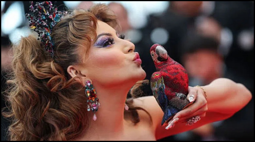 కేన్స్ ఫెస్టివ‌ల్‌లో మెరిసిన అందాల తారలు..