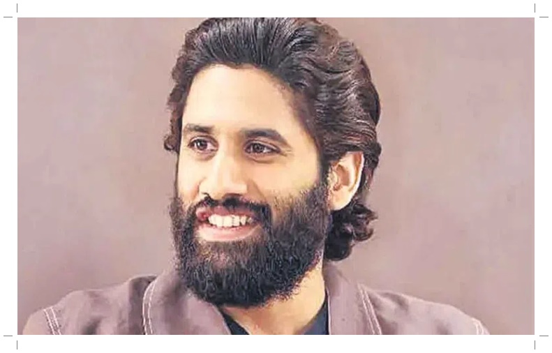 మజిలీ దర్శకుడితో నాగచైతన్య 25వ సినిమా?