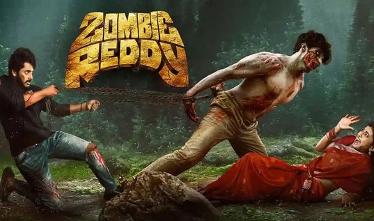 ‘జాంబీ రెడ్డి 2’ హీరోయిన్‌గా షనాయా?